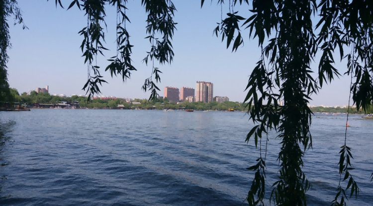 大明湖3